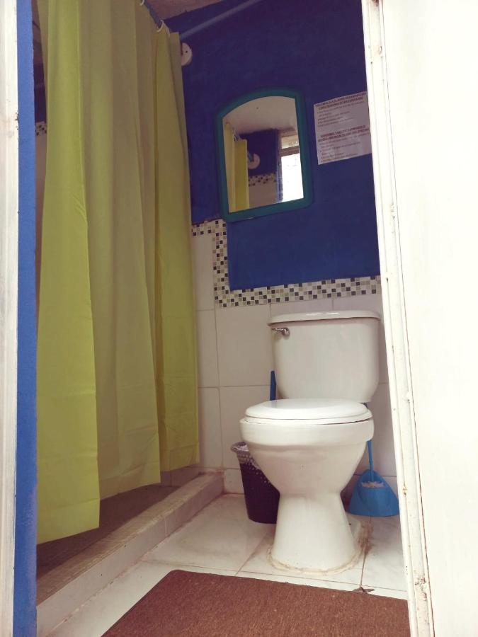 4 Grados Hostel Guatemala City Ngoại thất bức ảnh