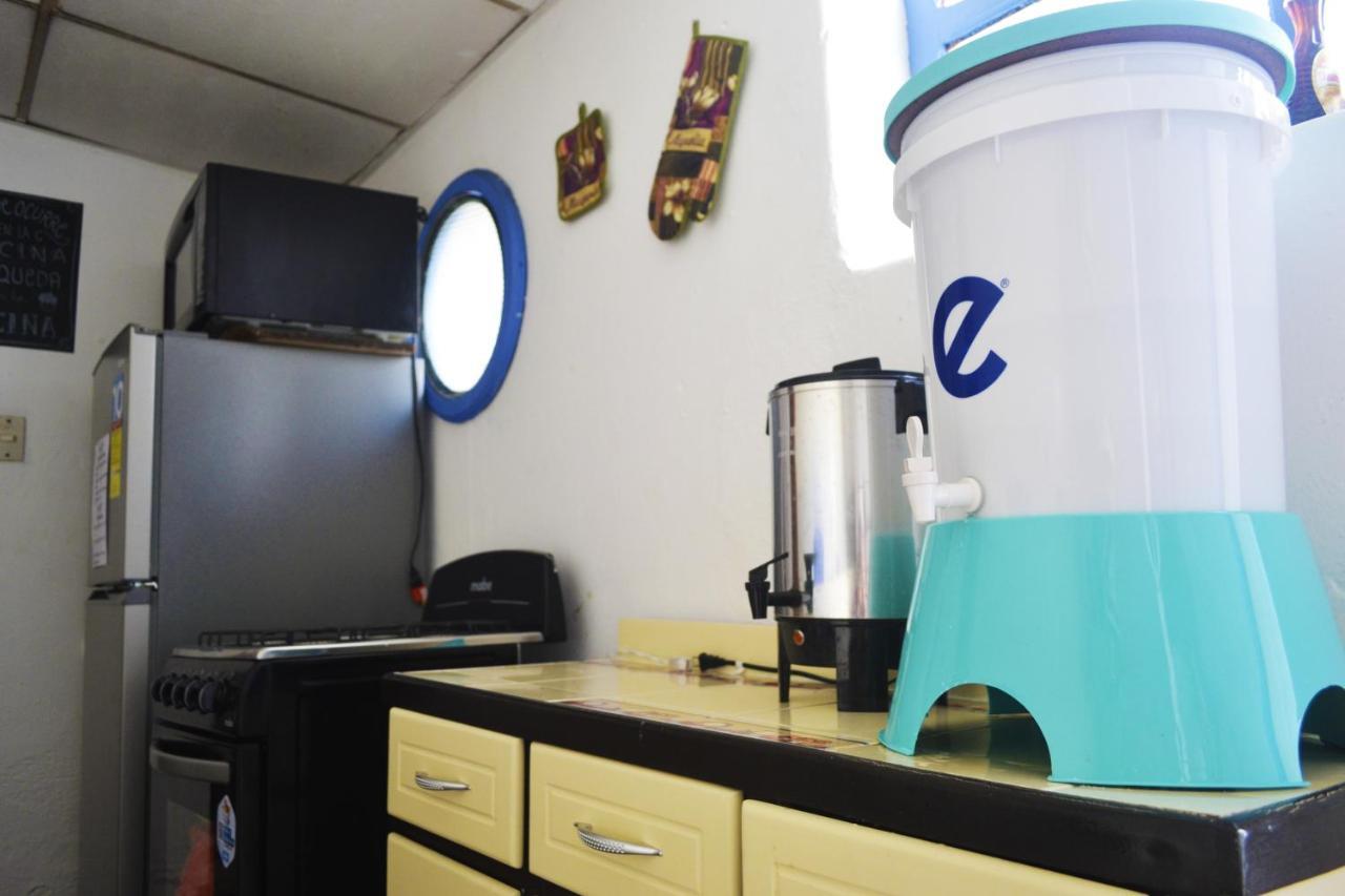 4 Grados Hostel Guatemala City Ngoại thất bức ảnh